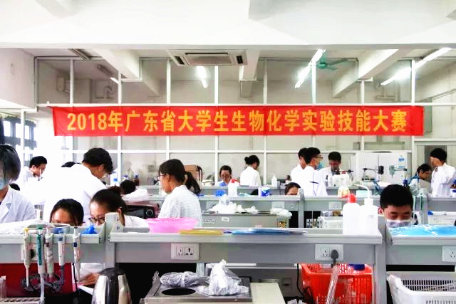 ​英国上市公司365员工荣获广东省生物化学实验技能大赛二等奖02.jpg